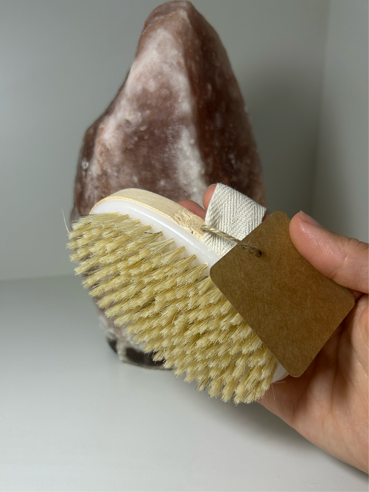 Natural Bristle Dry Brush